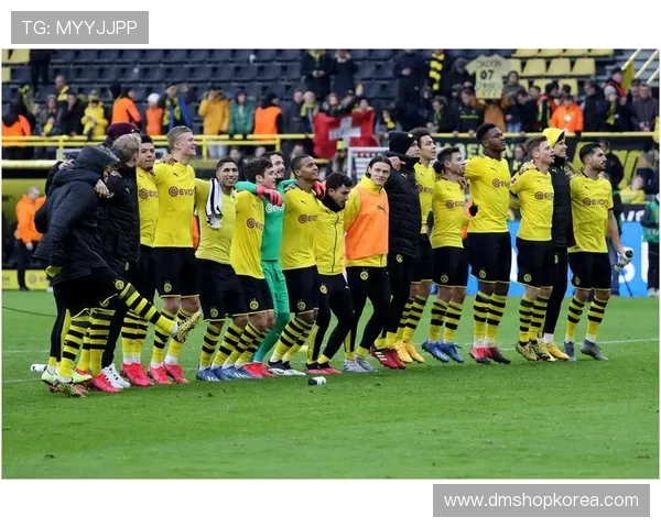 如何通过网易体育入口获取最新赛事资讯和精彩比赛回放的详细操作指南